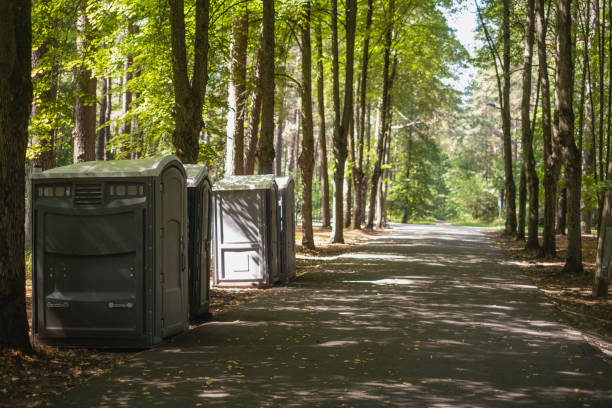 Portable Toilet Options We Offer in Paincourtville, LA